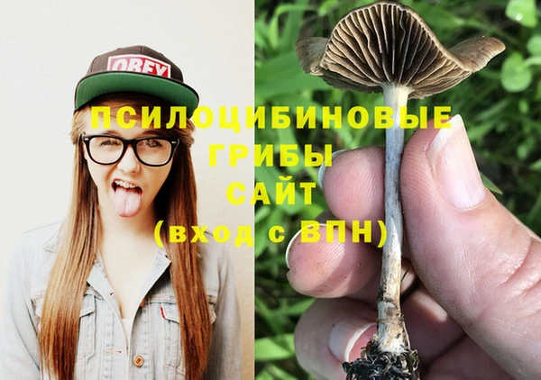 сатива Верхний Тагил