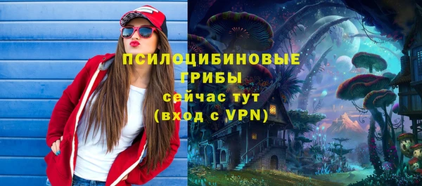 сатива Верхний Тагил